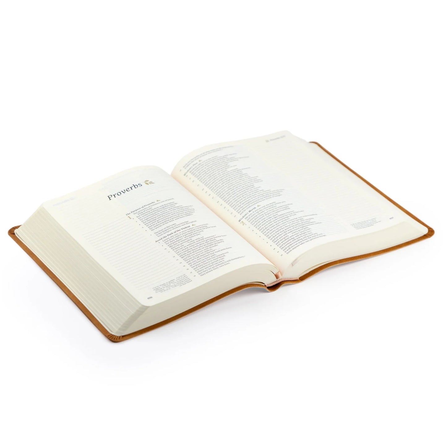 CSB Notetaking Bible: Amelia Theme