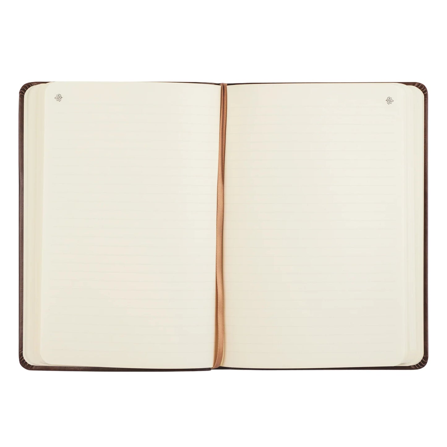 Lined Journal: Aurora Theme