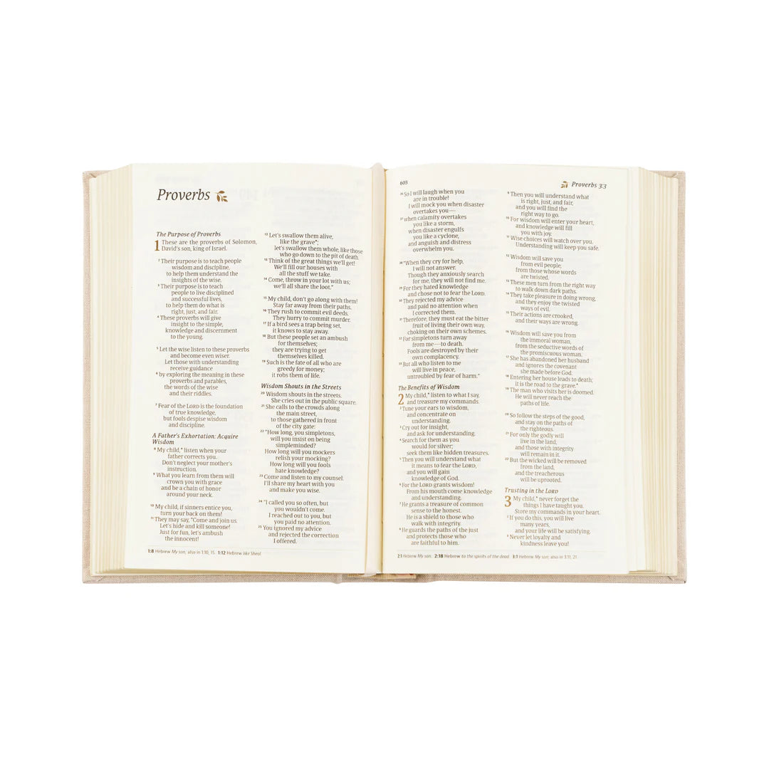 Compact NLT Bible: Casablanca Theme