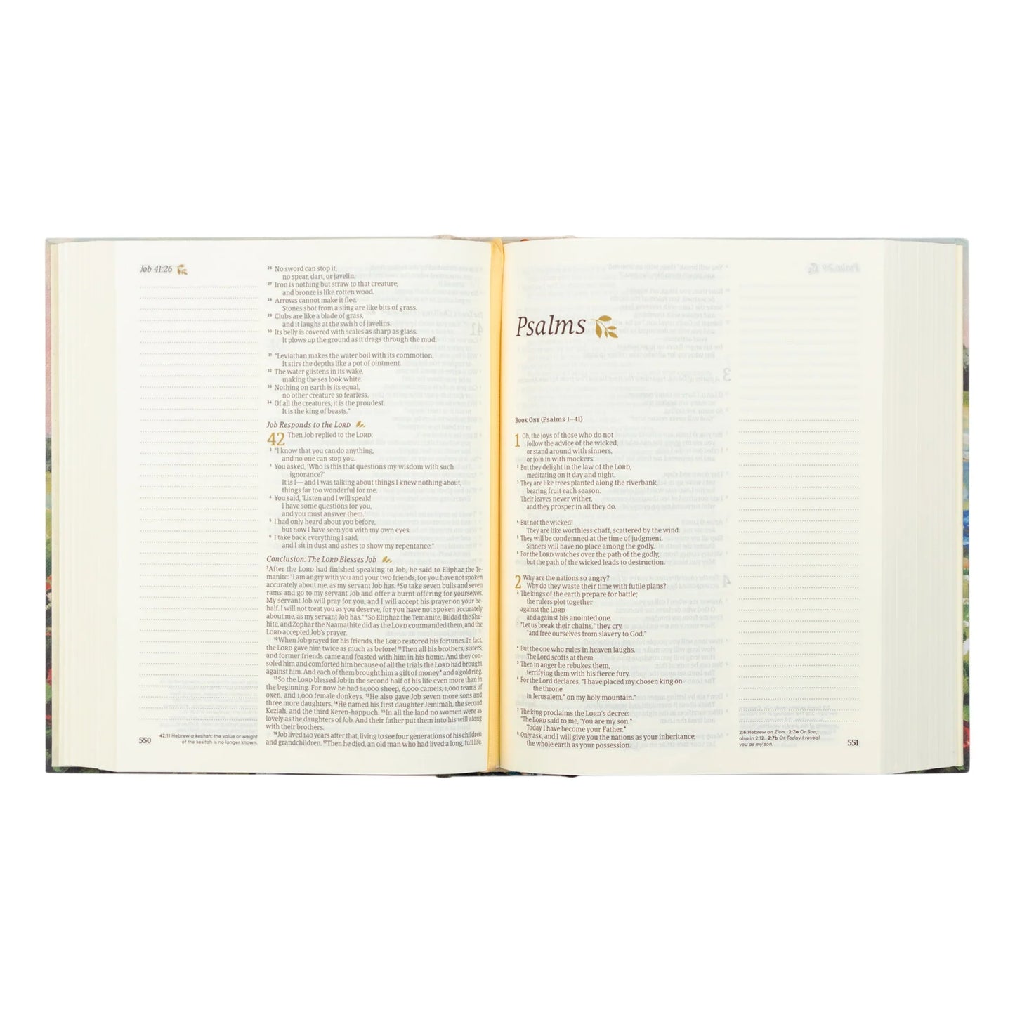 NLT Notetaking Bible: Coram Theme