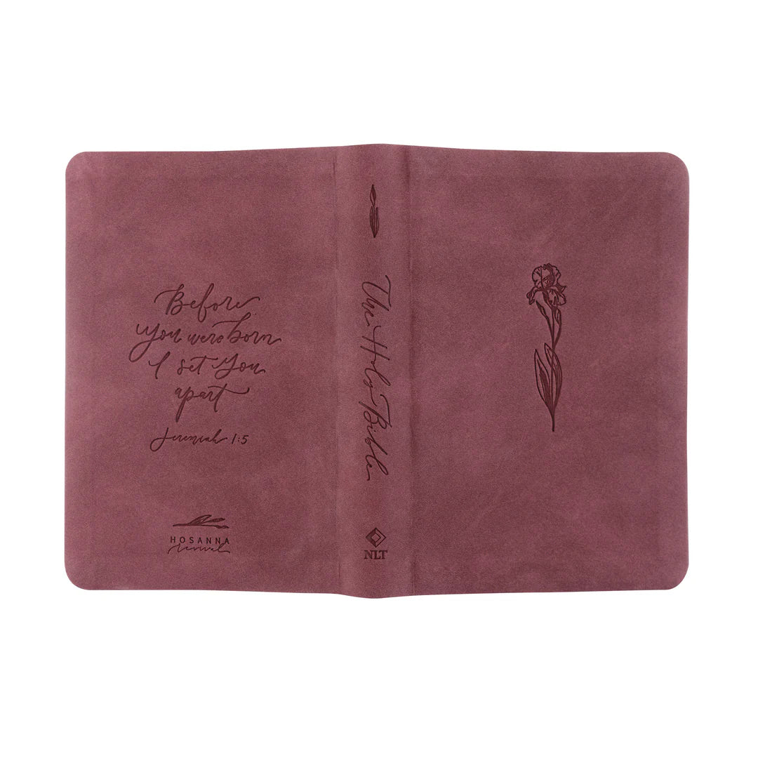 Compact NLT Bible: Helena Theme