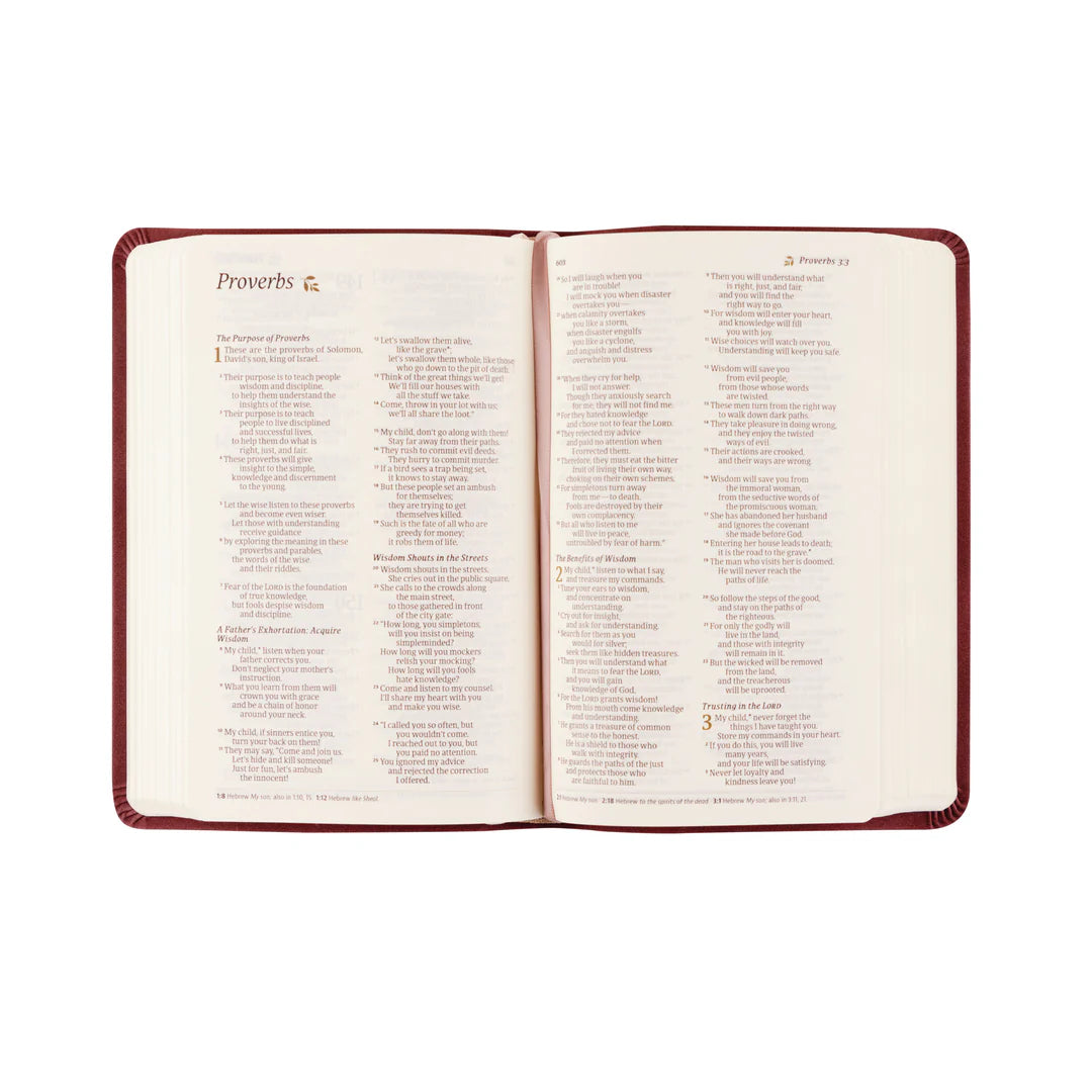 Compact NLT Bible: Helena Theme