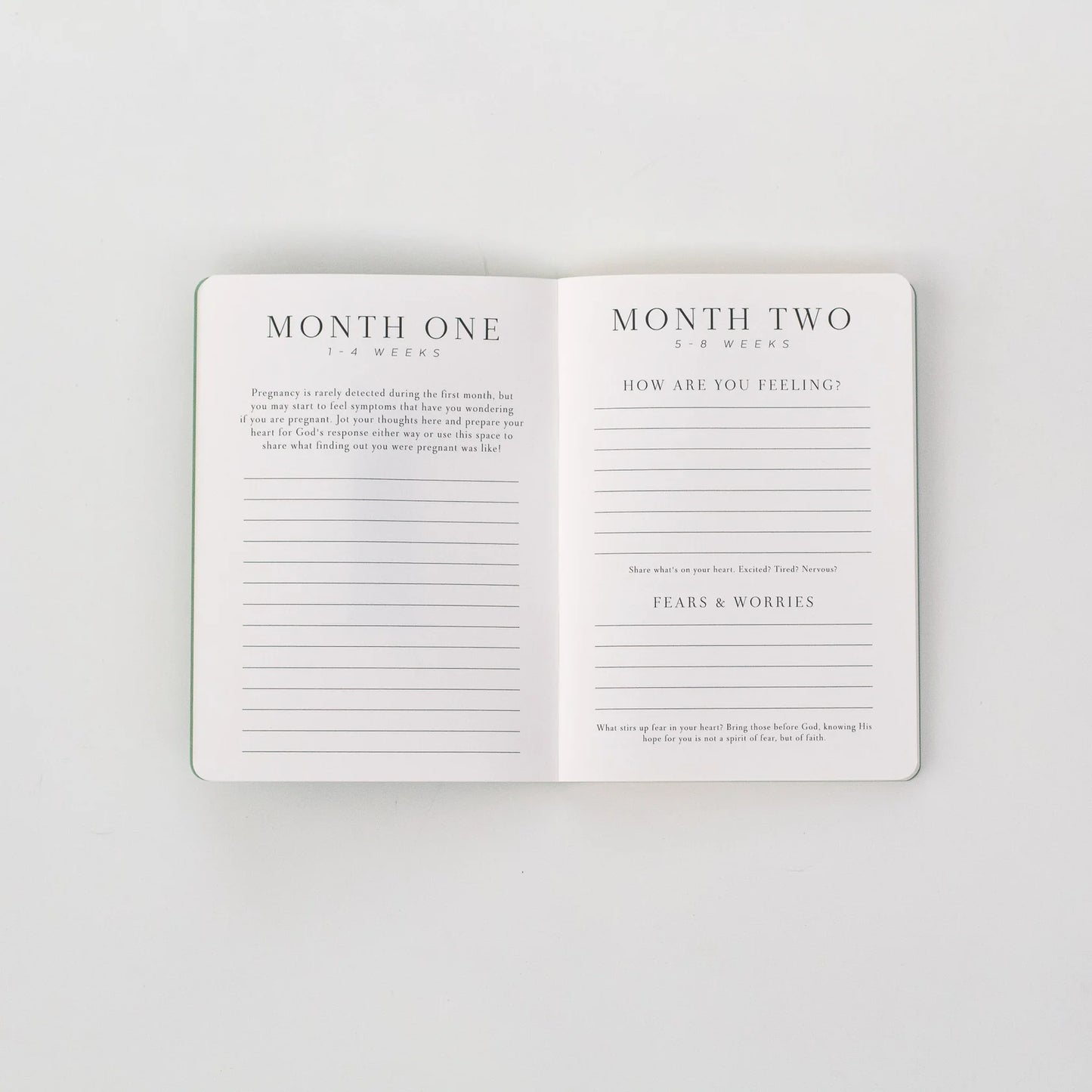Pregnancy Prayer Journal