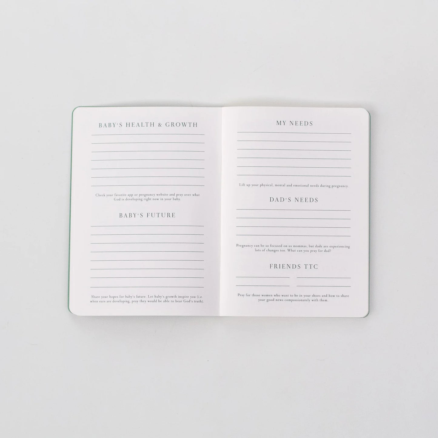 Pregnancy Prayer Journal