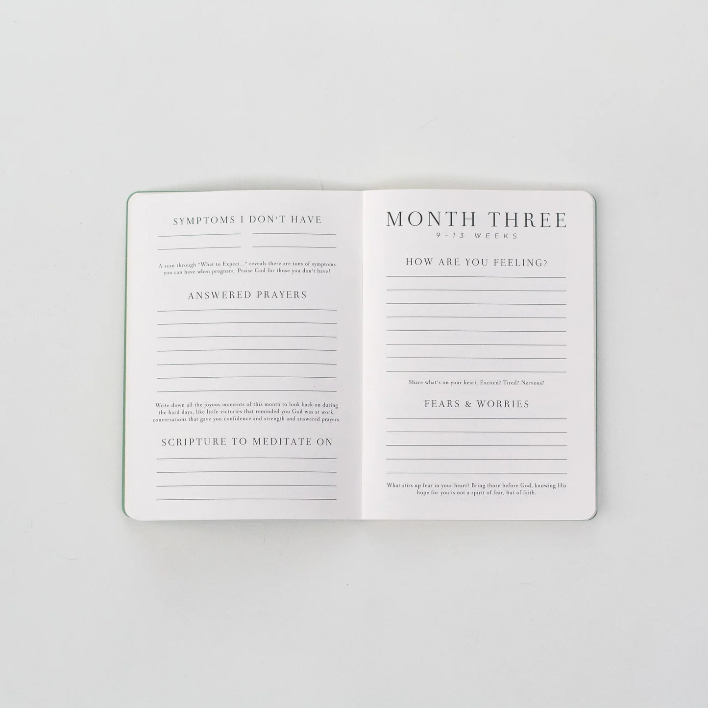 Pregnancy Prayer Journal