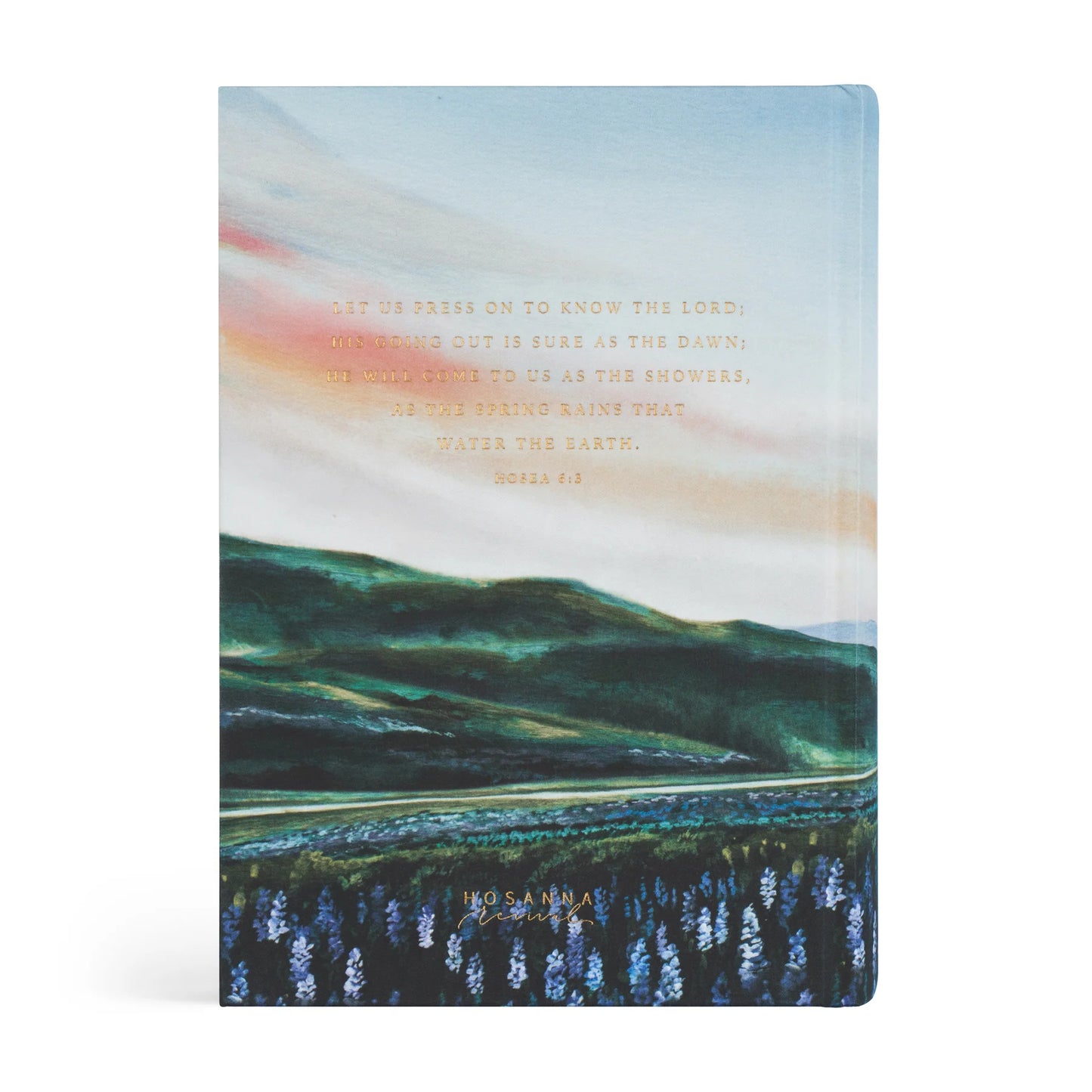 ESV Study Bible: Iceland