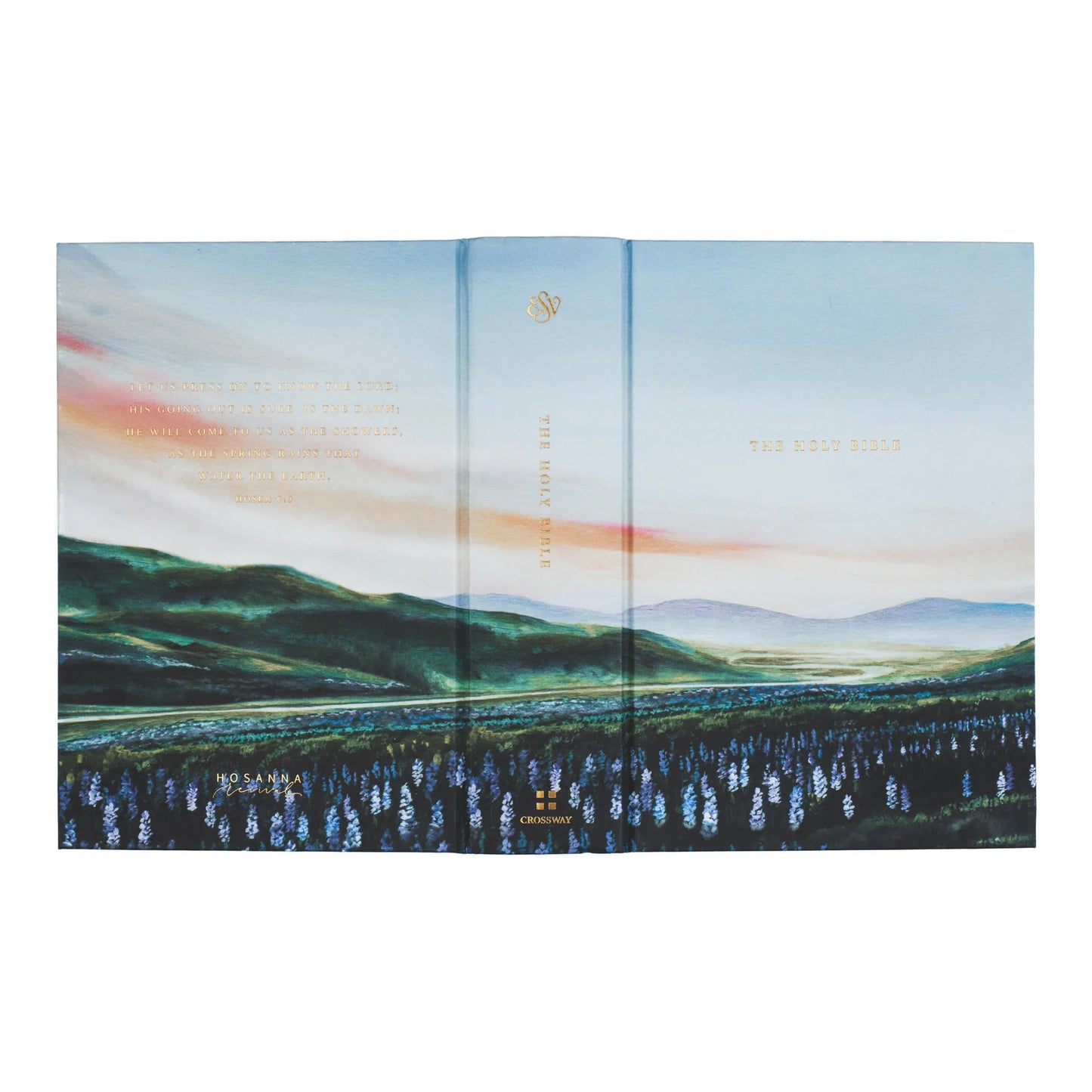 ESV Study Bible: Iceland