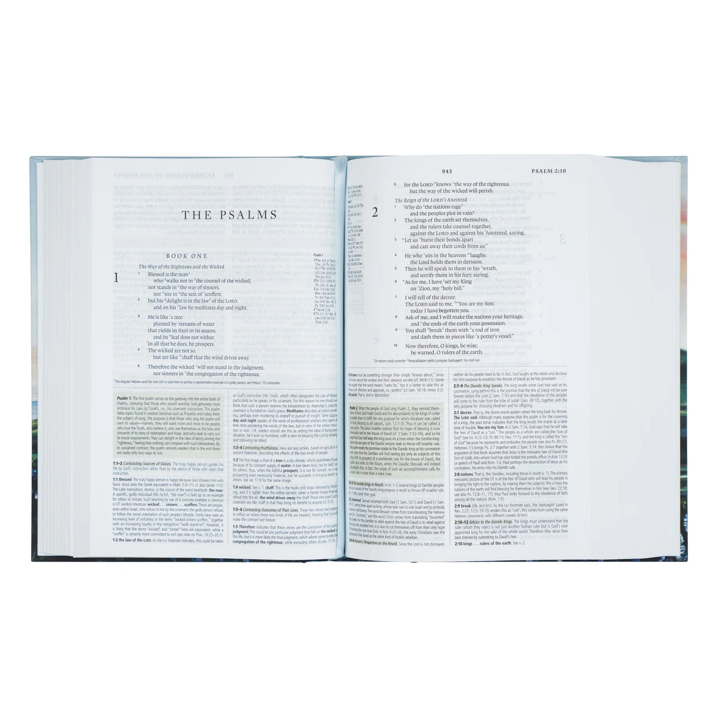 ESV Study Bible: Iceland