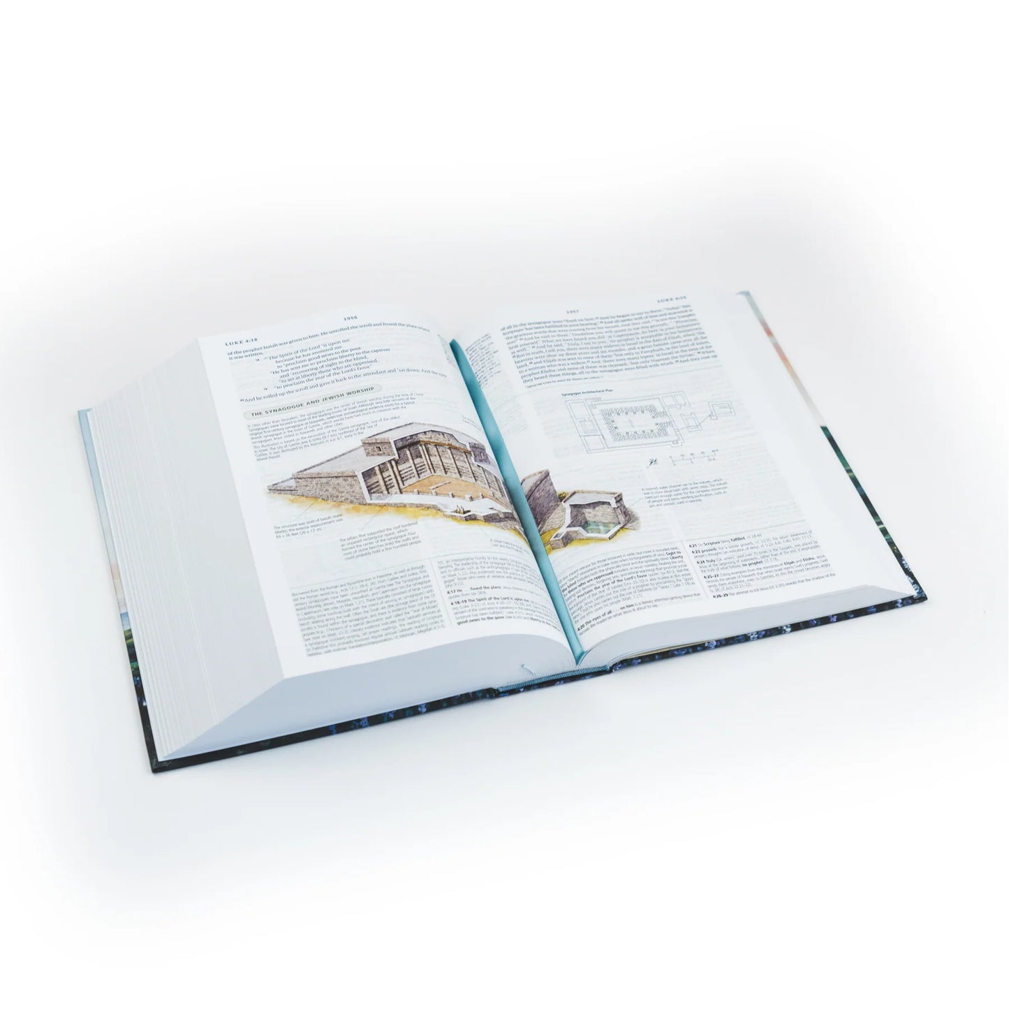 ESV Study Bible: Iceland