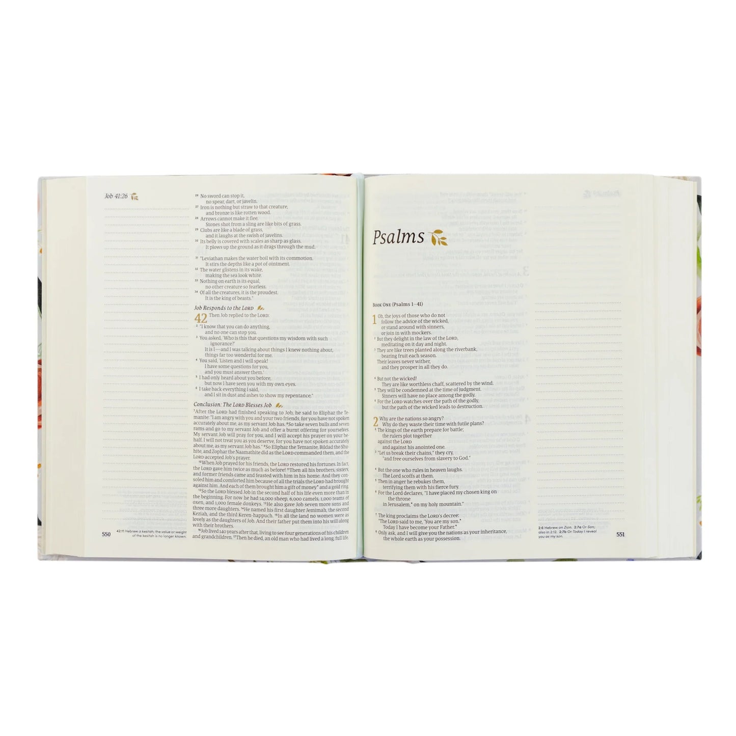NLT Notetaking Bible: Loveland Theme