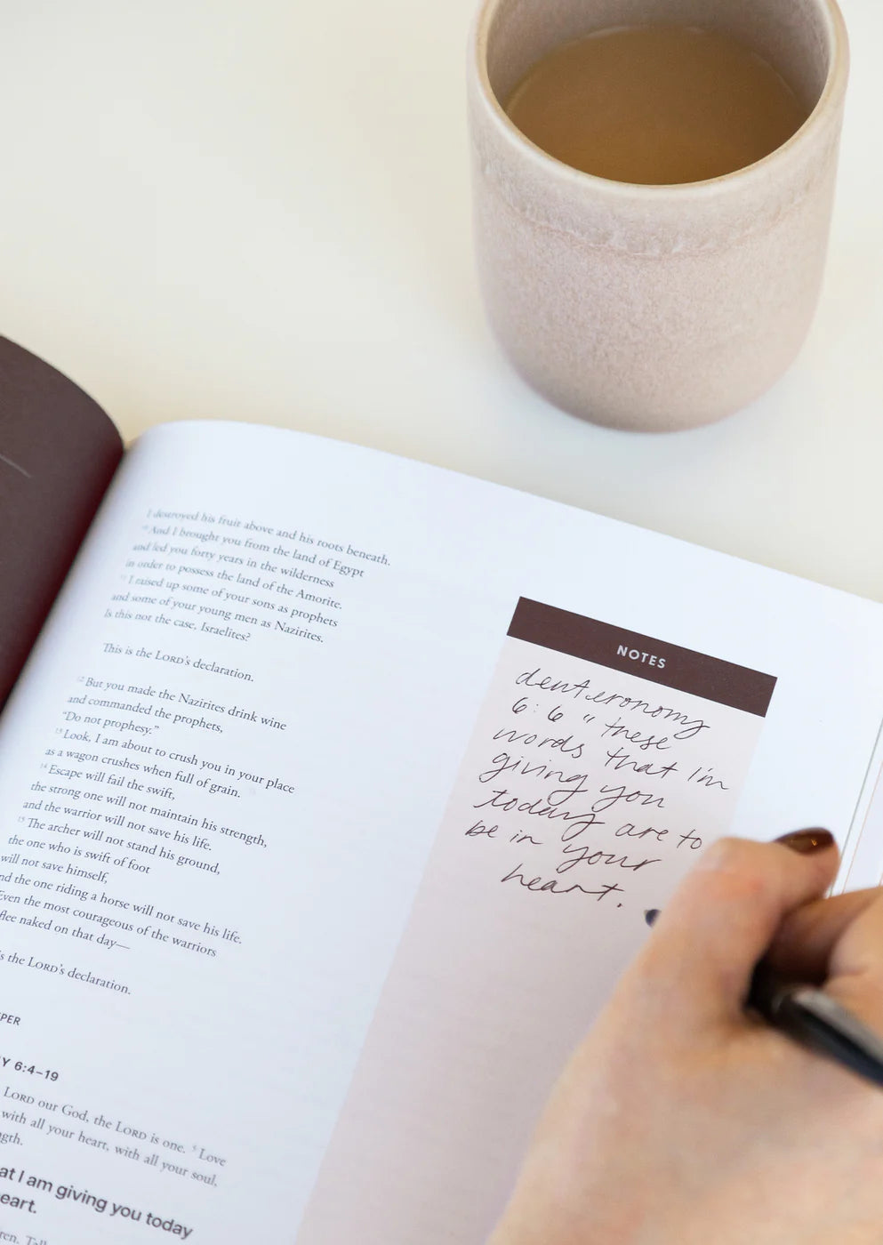 'Amos' Study Book