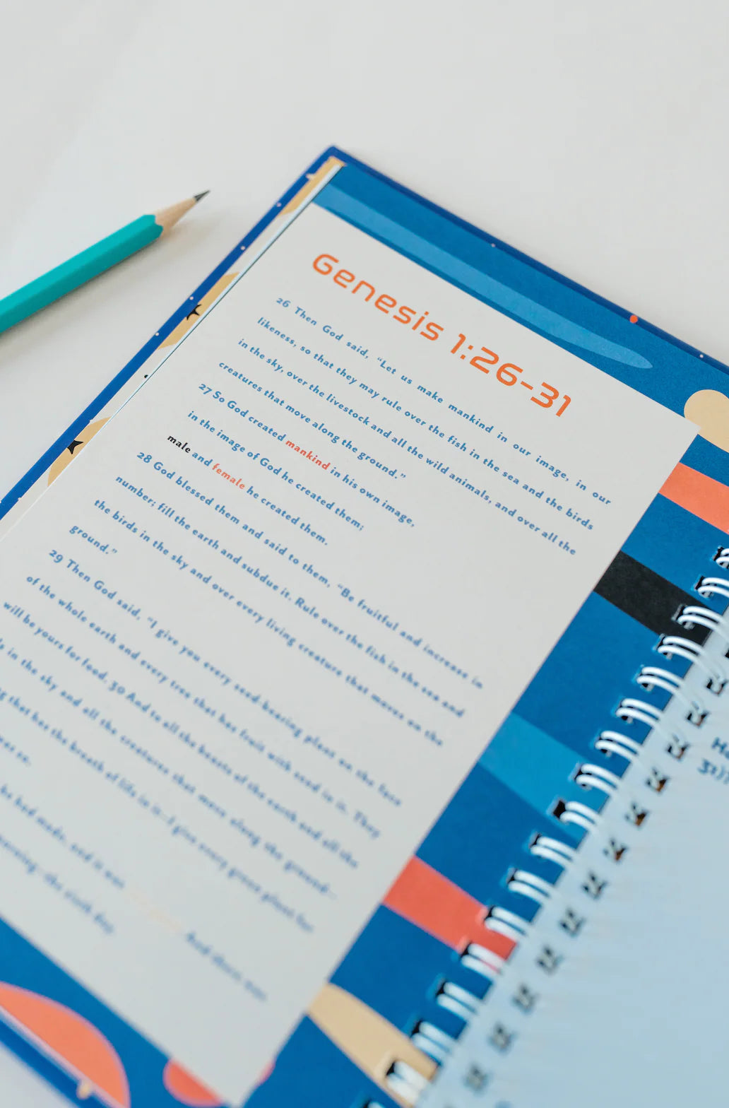 Boys Who Seek God Guided Journal