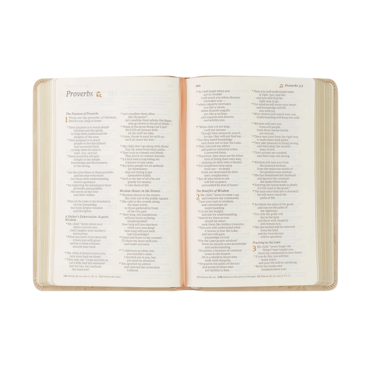 Compact NLT Bible: Sonora Theme