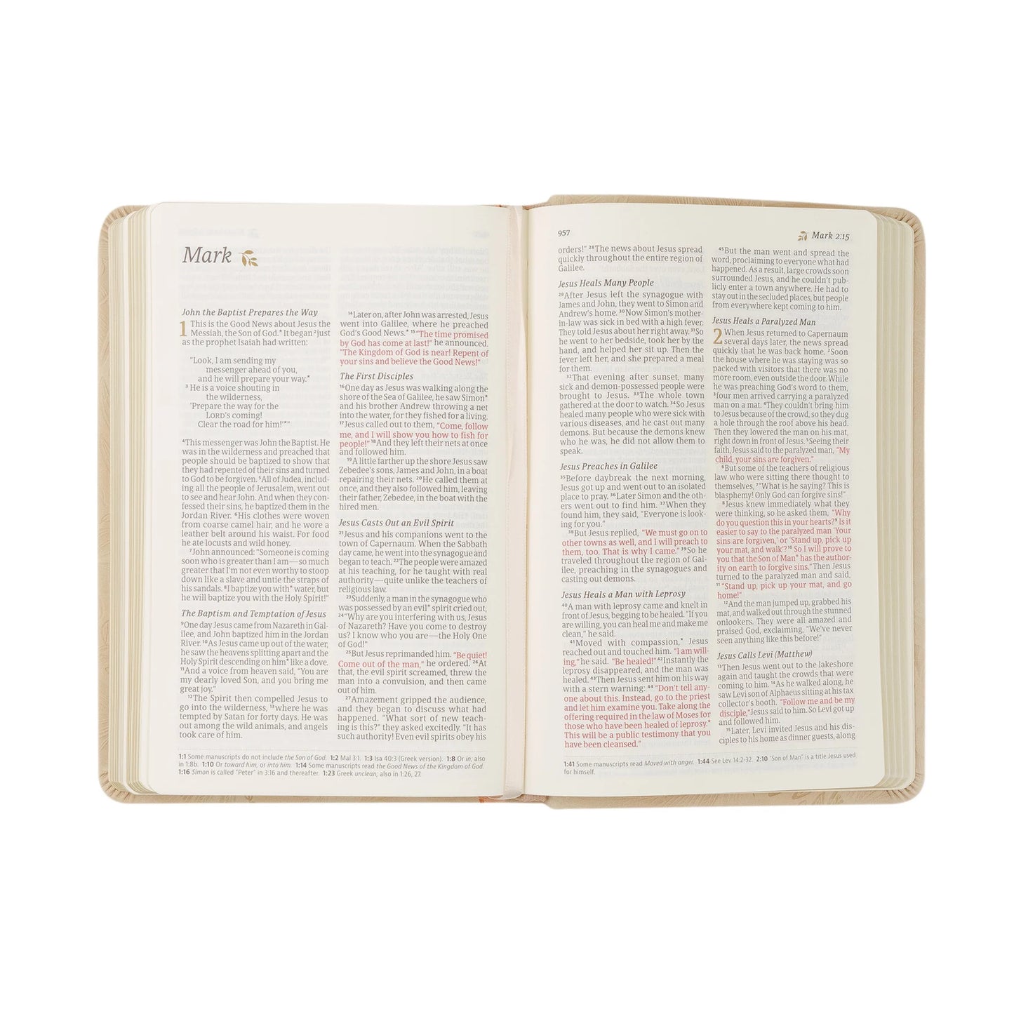 Compact NLT Bible: Sonora Theme