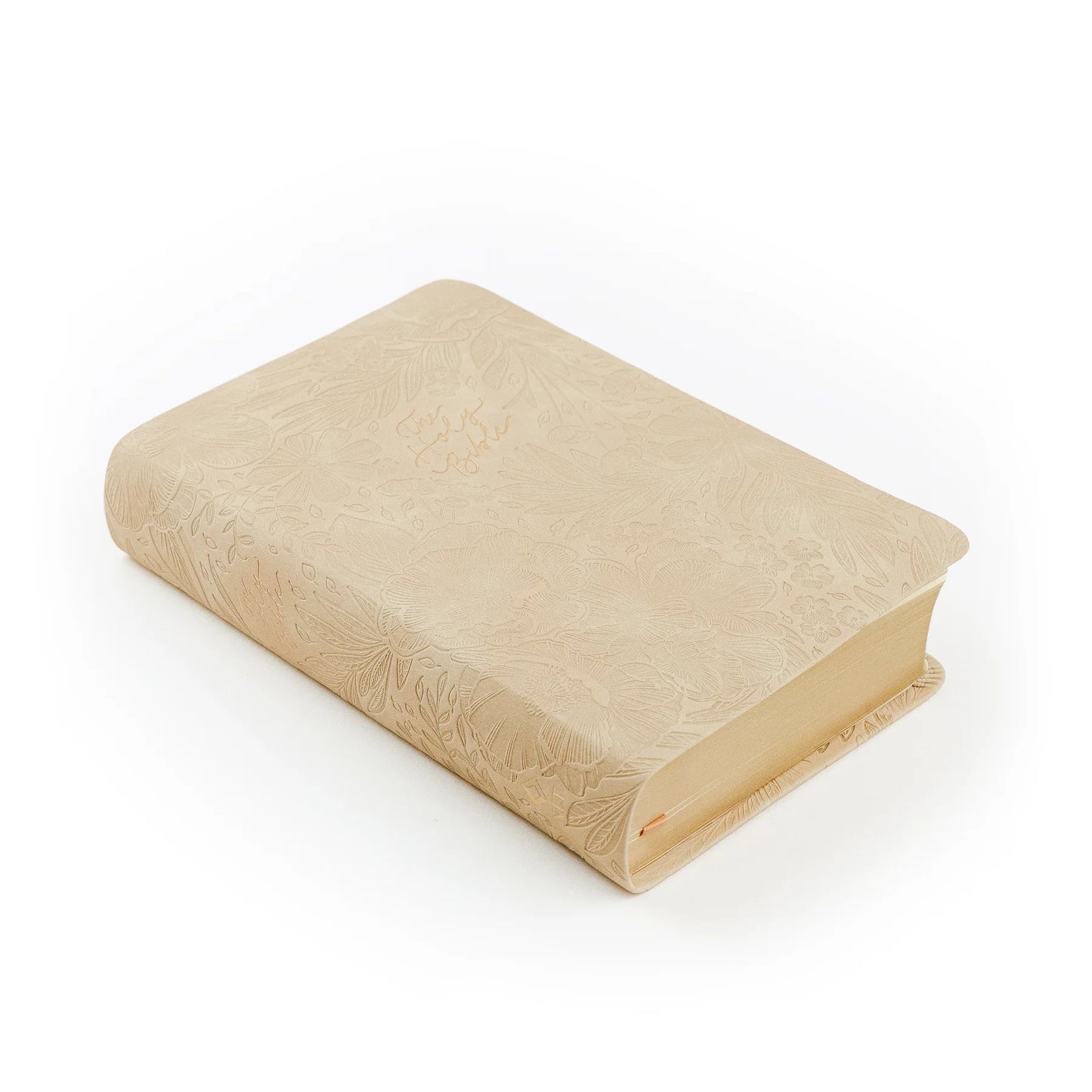 Compact NLT Bible: Sonora Theme