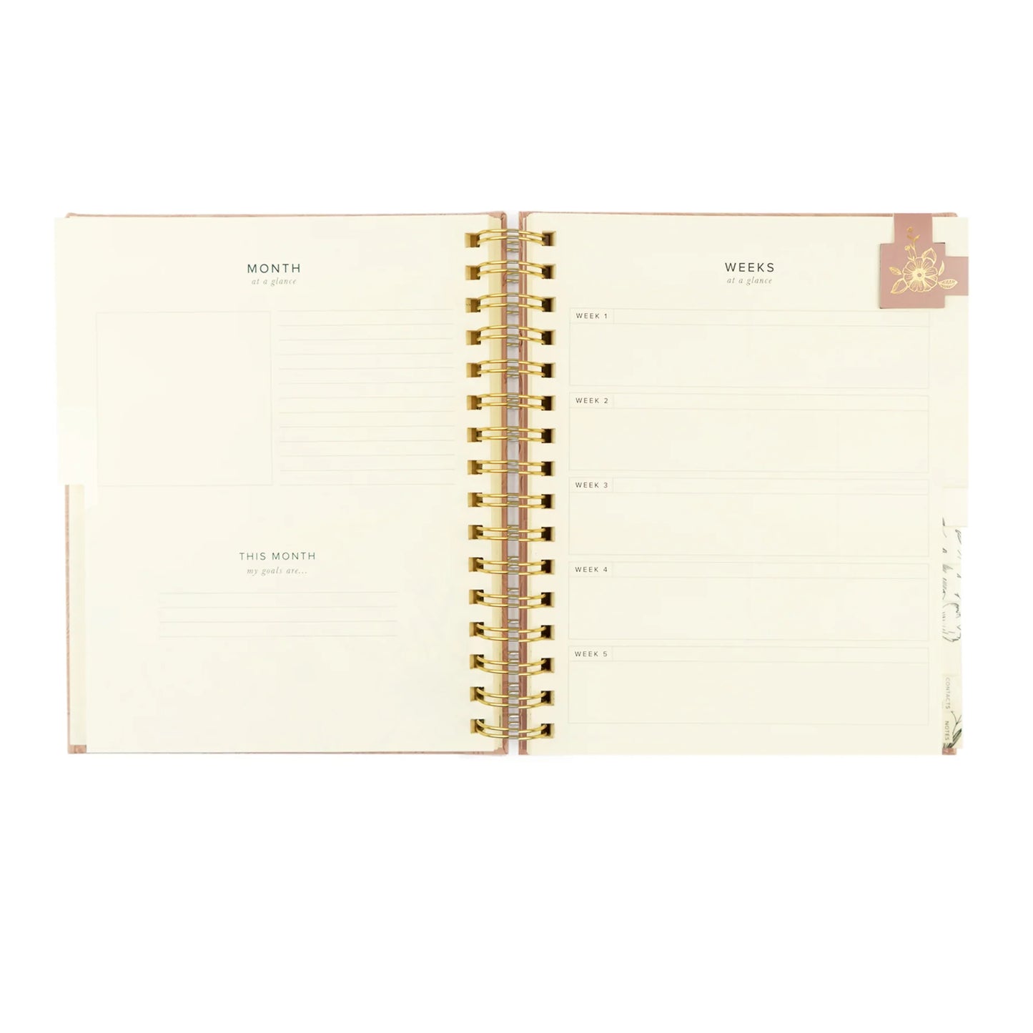 Undated 12 Month Planner: Sonora Theme