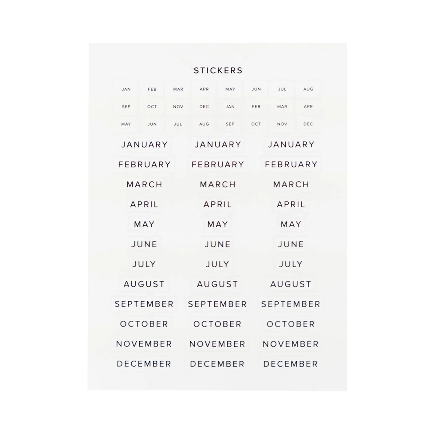 Undated 12 Month Planner: Sonora Theme