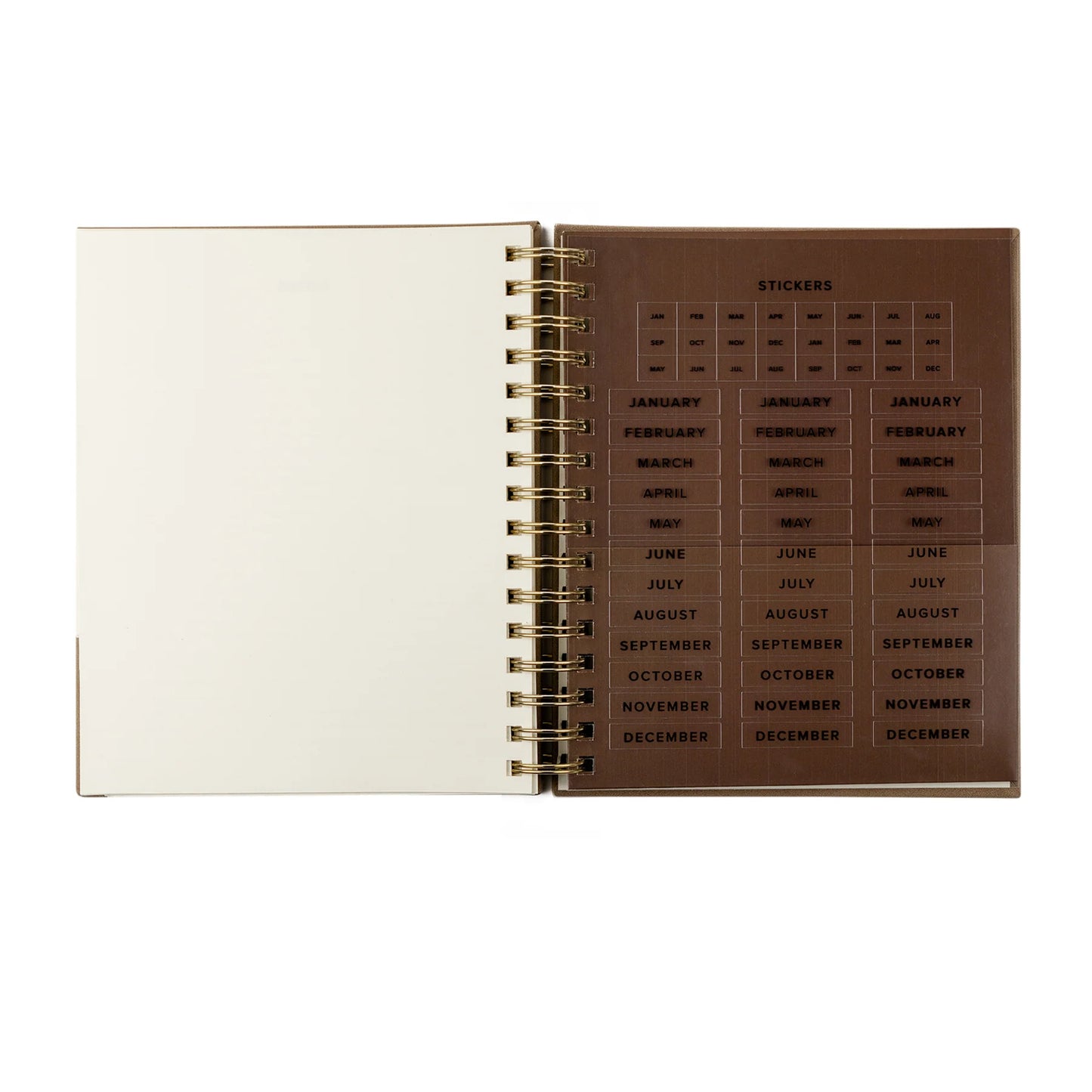 Undated 12 Month Planner: Marlo Theme