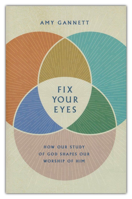 Fix Your Eyes by Amy Gannett