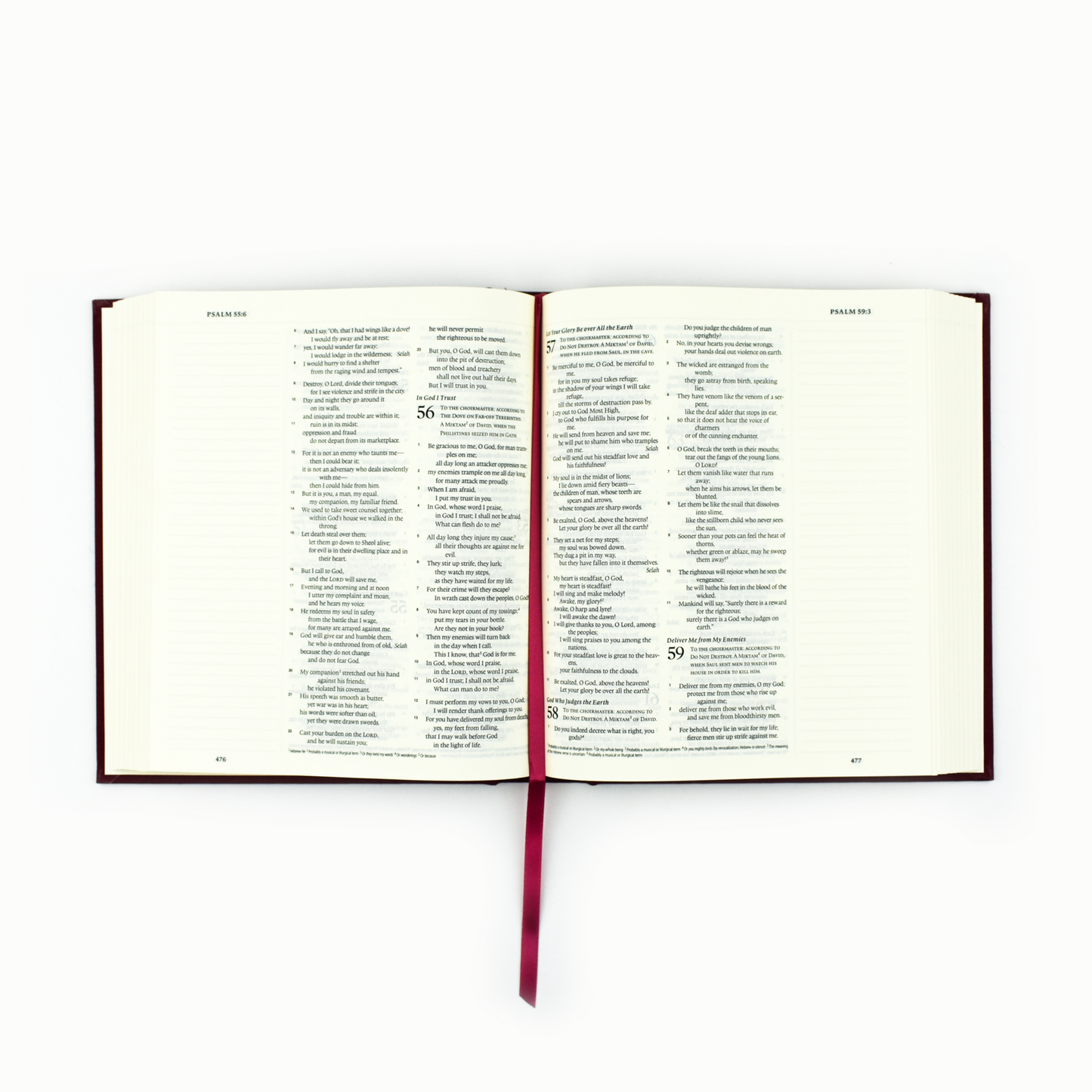 ESV Journalling Bible: Eden Theme