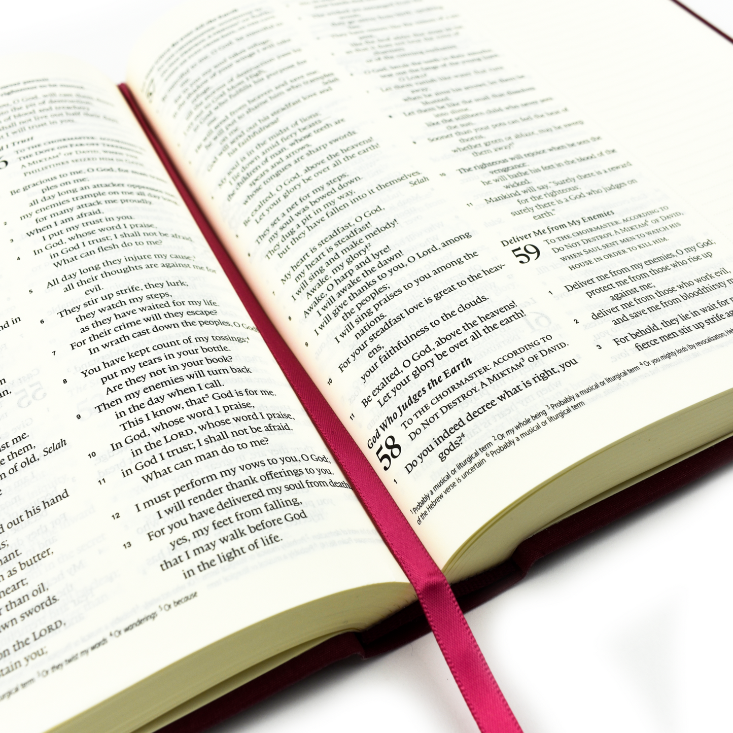 ESV Journalling Bible: Eden Theme