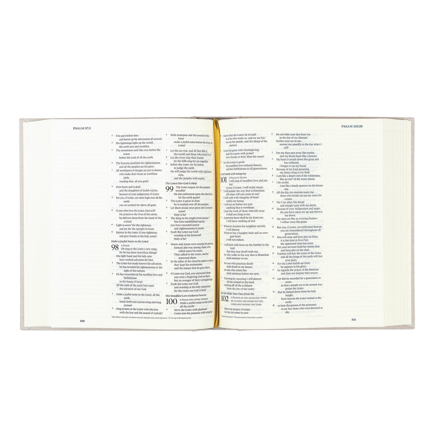 ESV Journaling Bible - Hallstatt