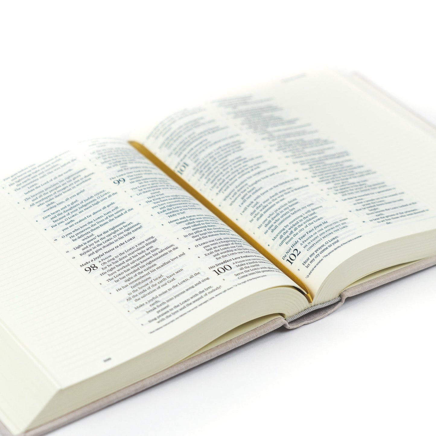 ESV Journaling Bible - Hallstatt