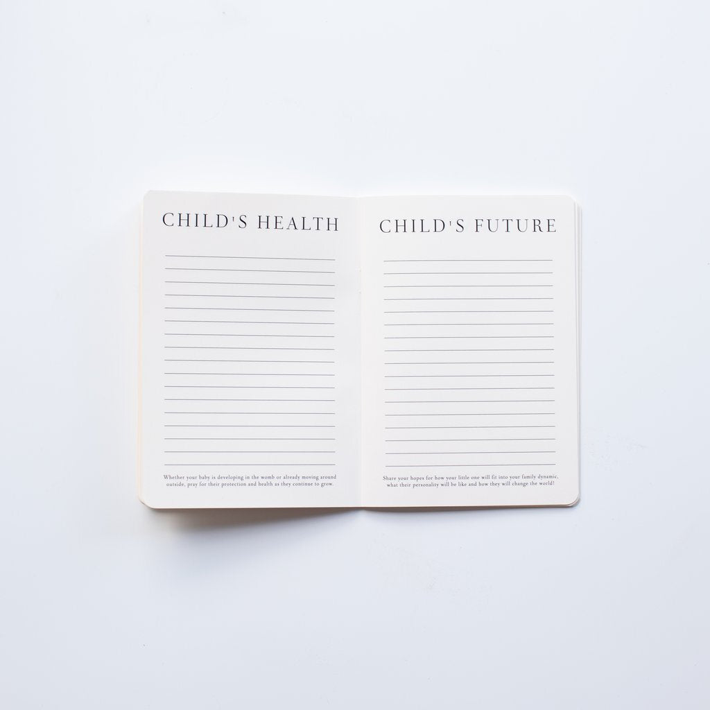Adoption Prayer Journal