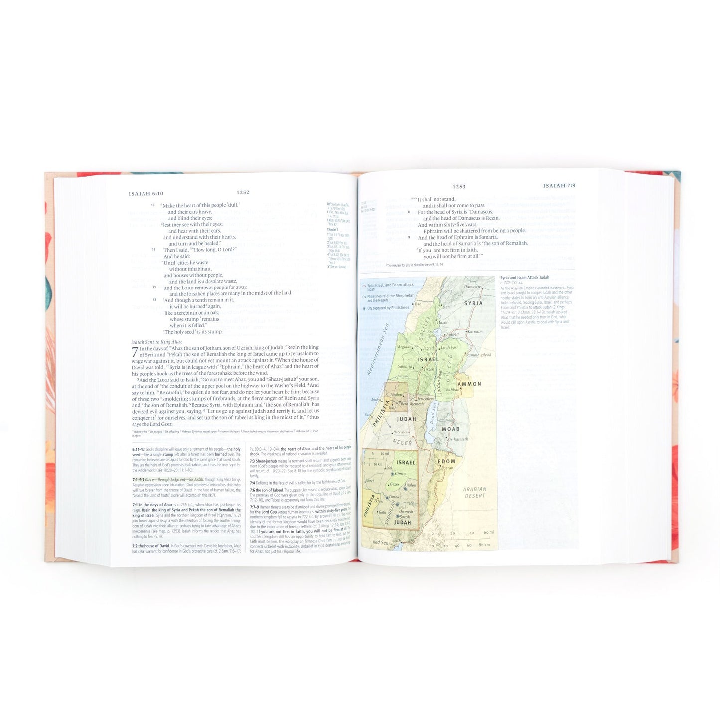 ESV Study Bible: Malory Hollow Theme