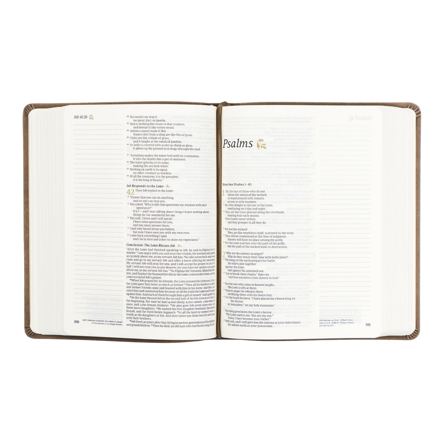 NLT Notetaking Bible: Marlo Theme