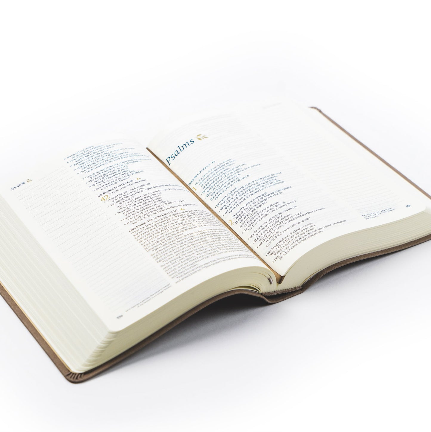 NLT Notetaking Bible: Marlo Theme