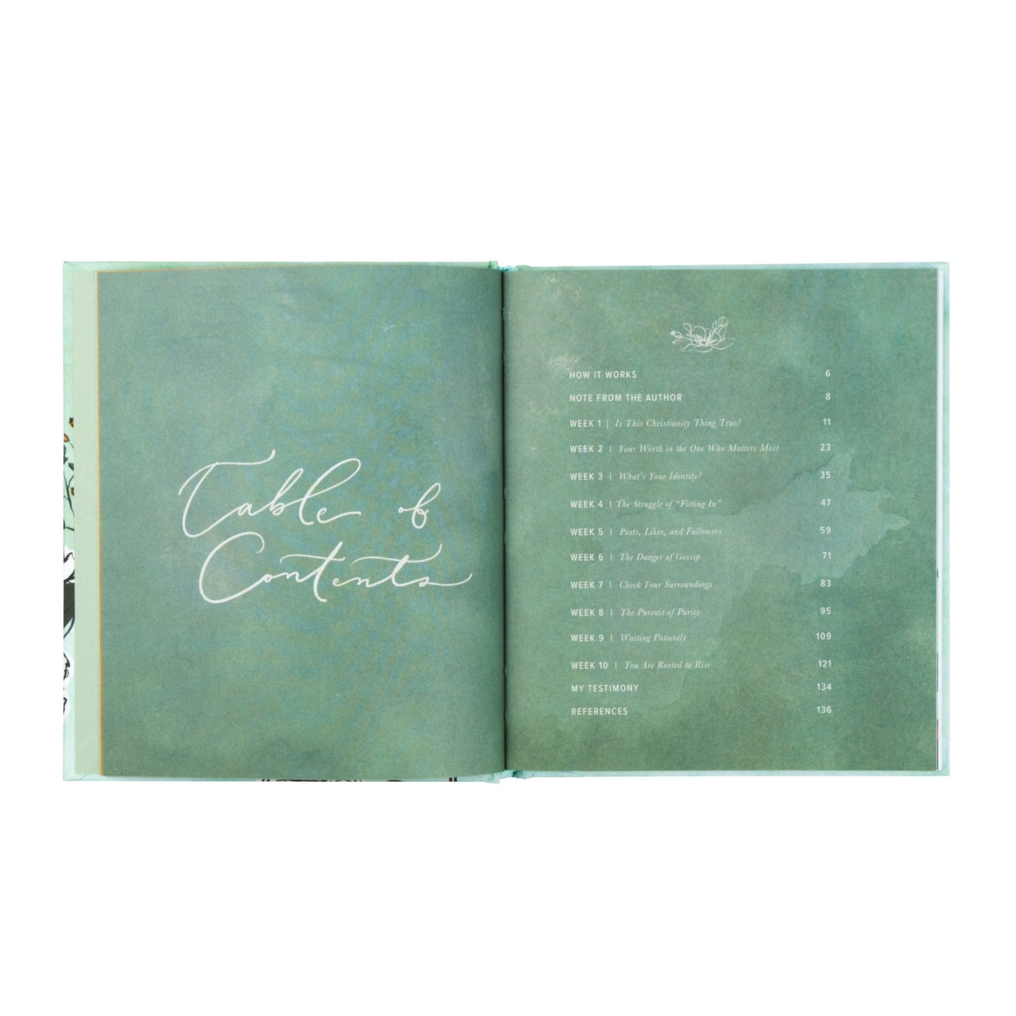 'Rooted to Rise' Devotional for Teen Girls