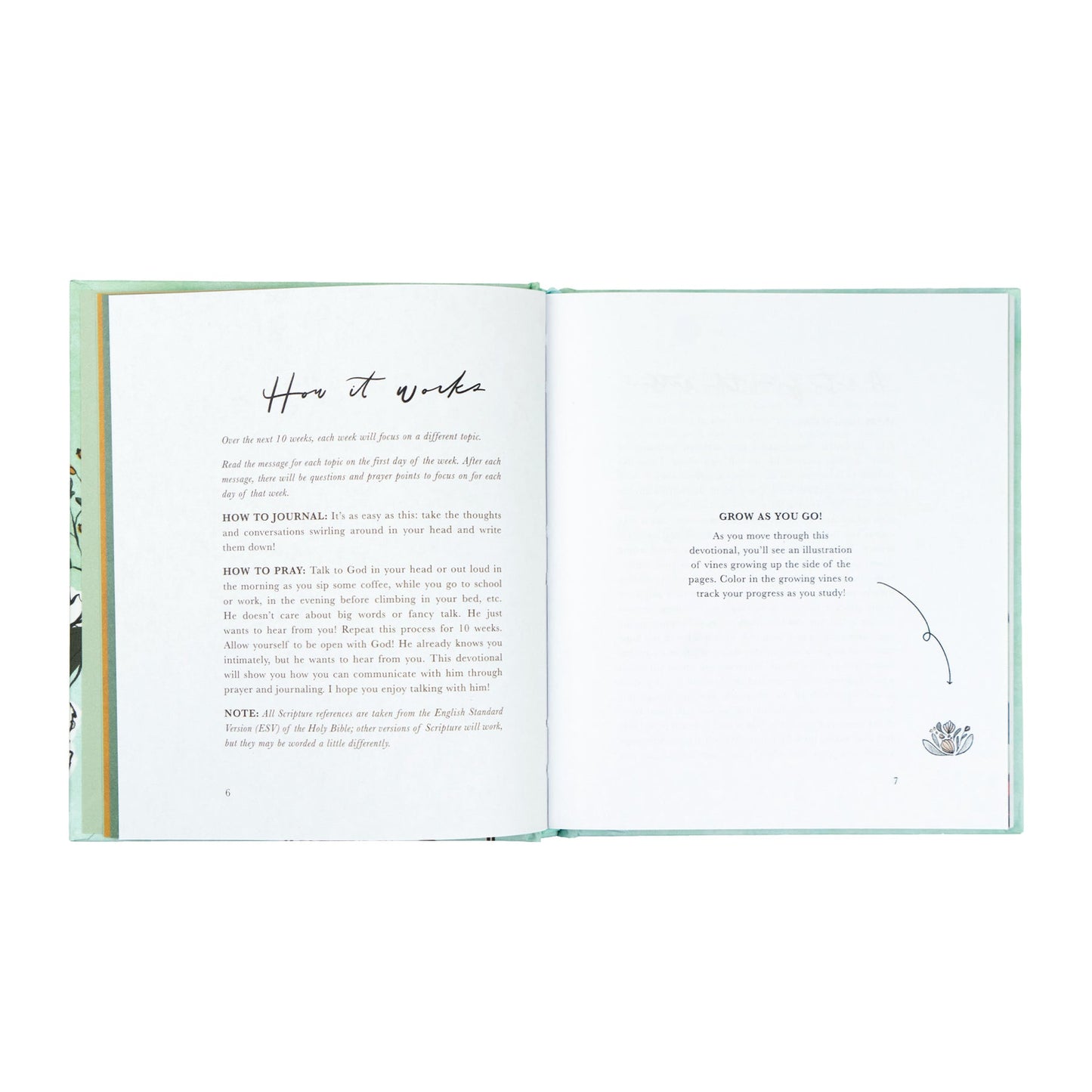 'Rooted to Rise' Devotional for Teen Girls