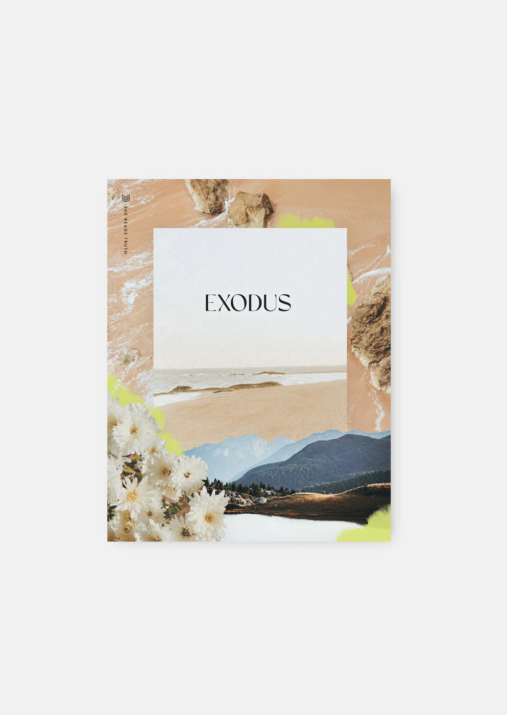 'Exodus' Study Book