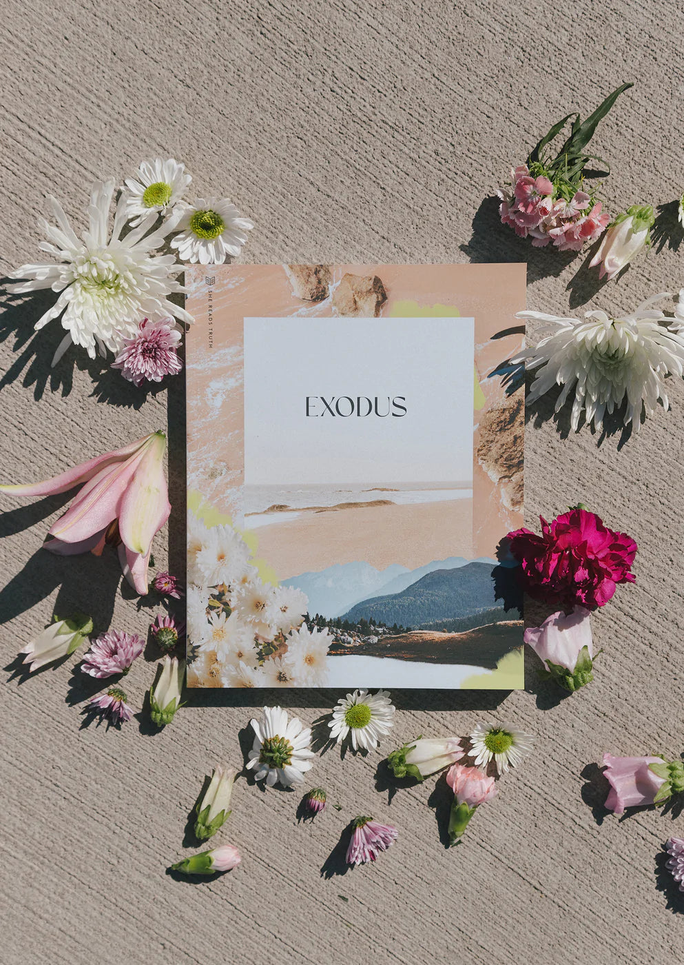 'Exodus' Study Book