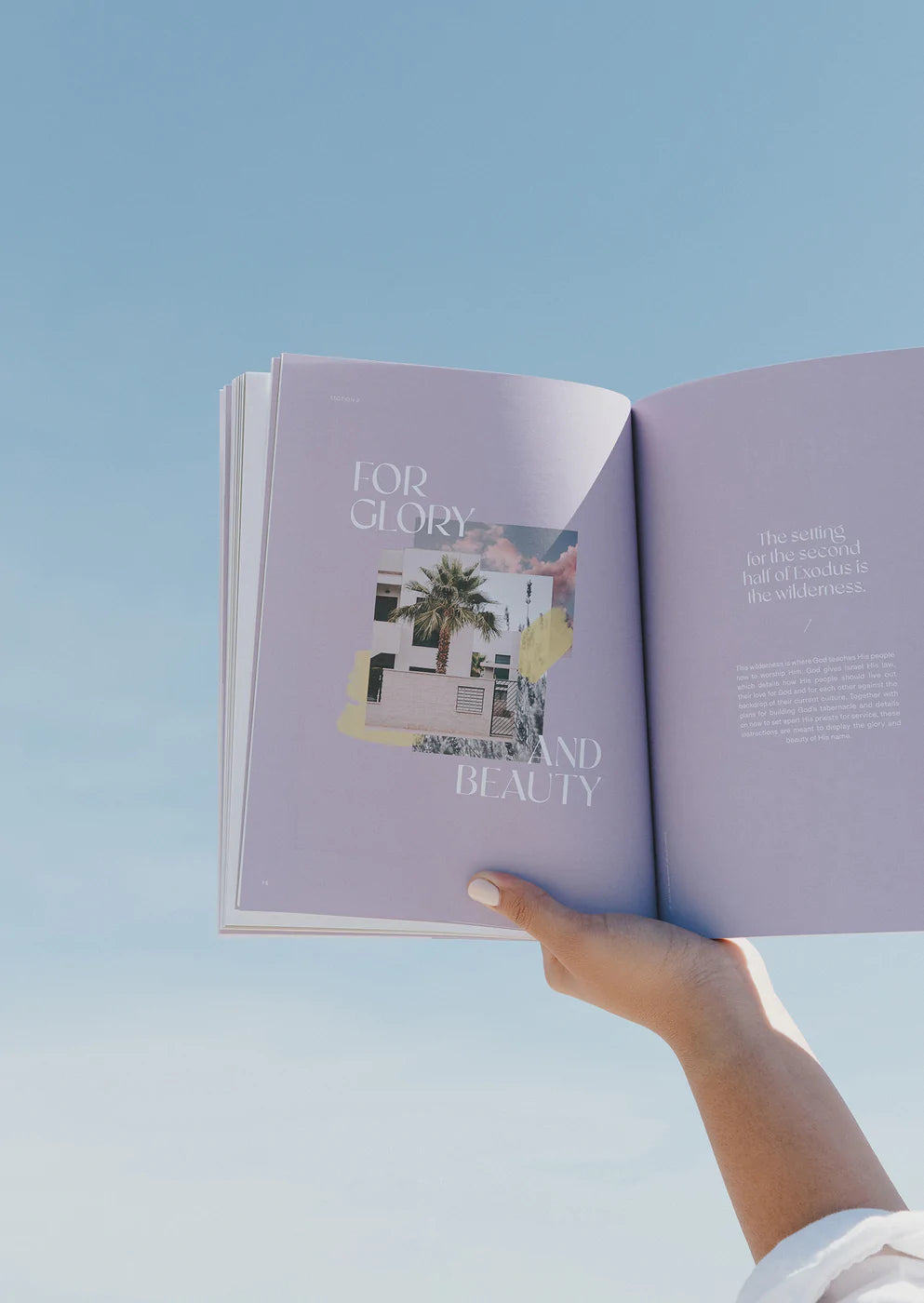 'Exodus' Study Book