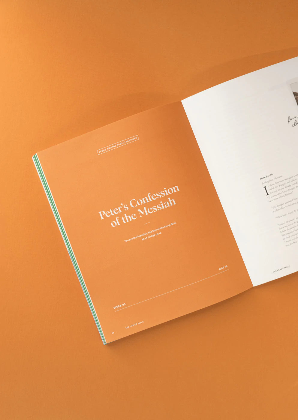 'The Life of Jesus' Study Book