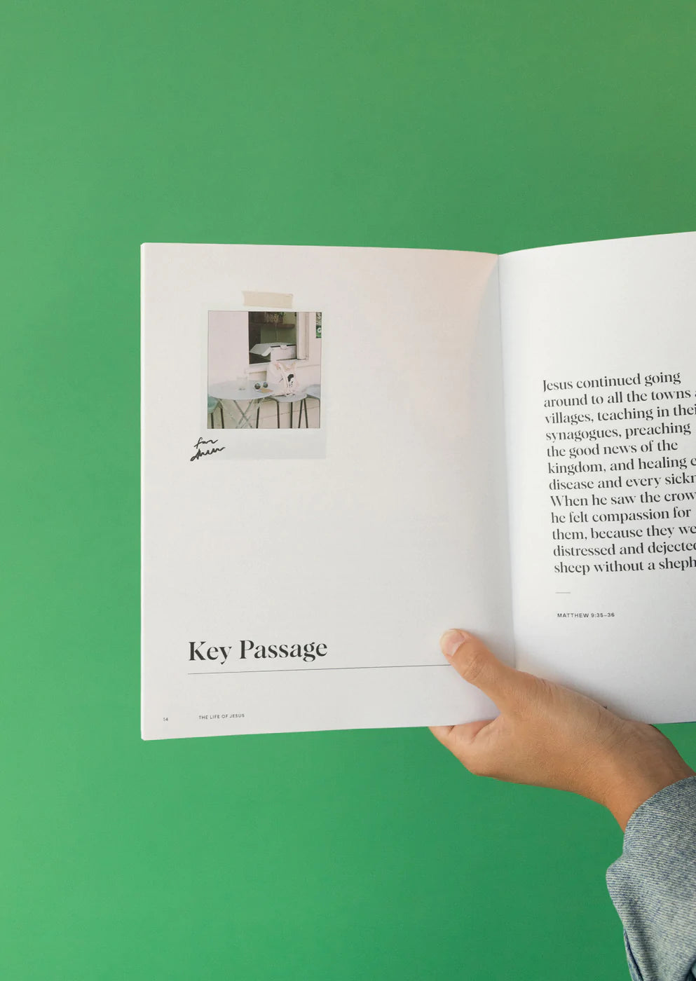 'The Life of Jesus' Study Book