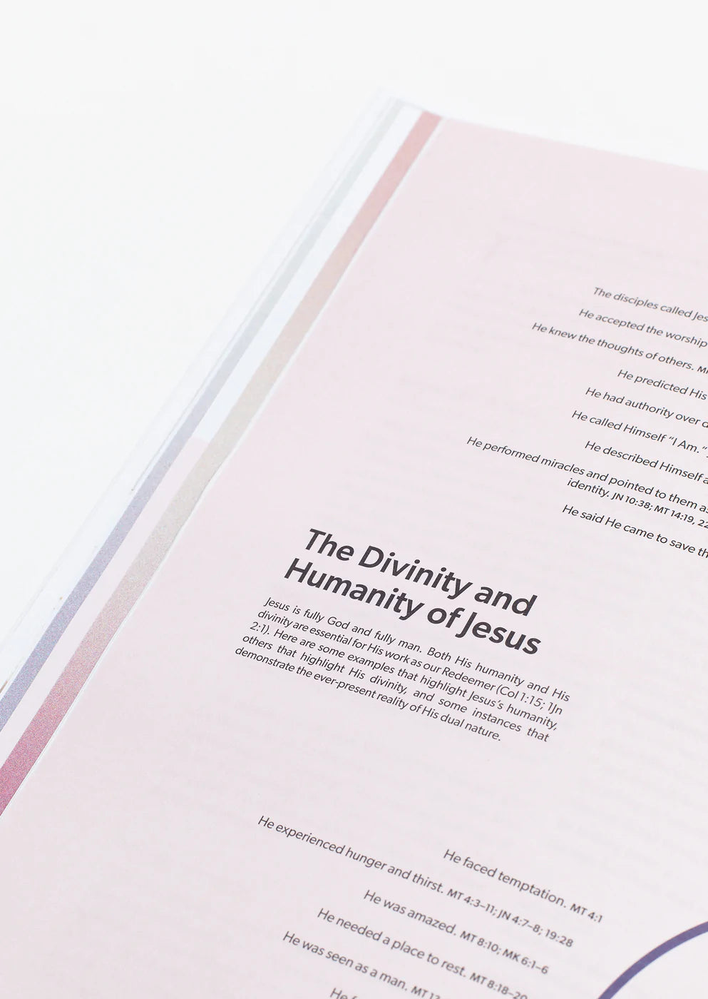'Women & Men in the Word - New Testament' Study Book