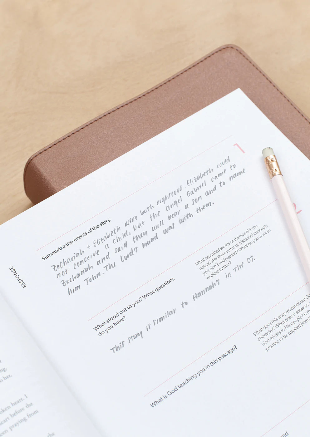 'Women & Men in the Word - New Testament' Study Book