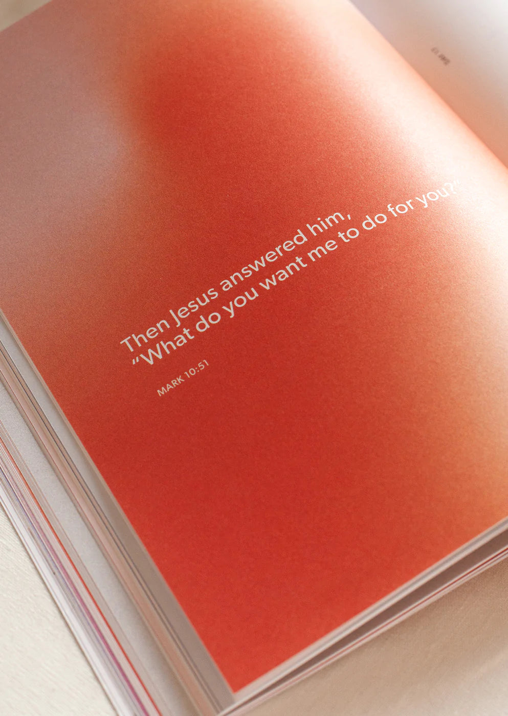 'Women & Men in the Word - New Testament' Study Book