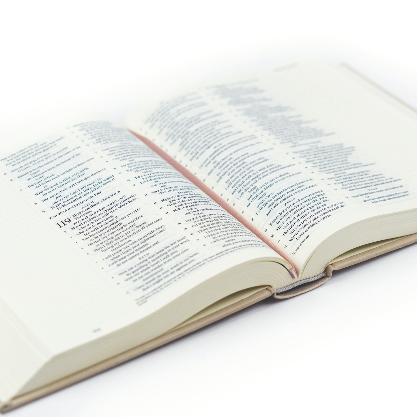 ESV Journaling Bible - Salamanca
