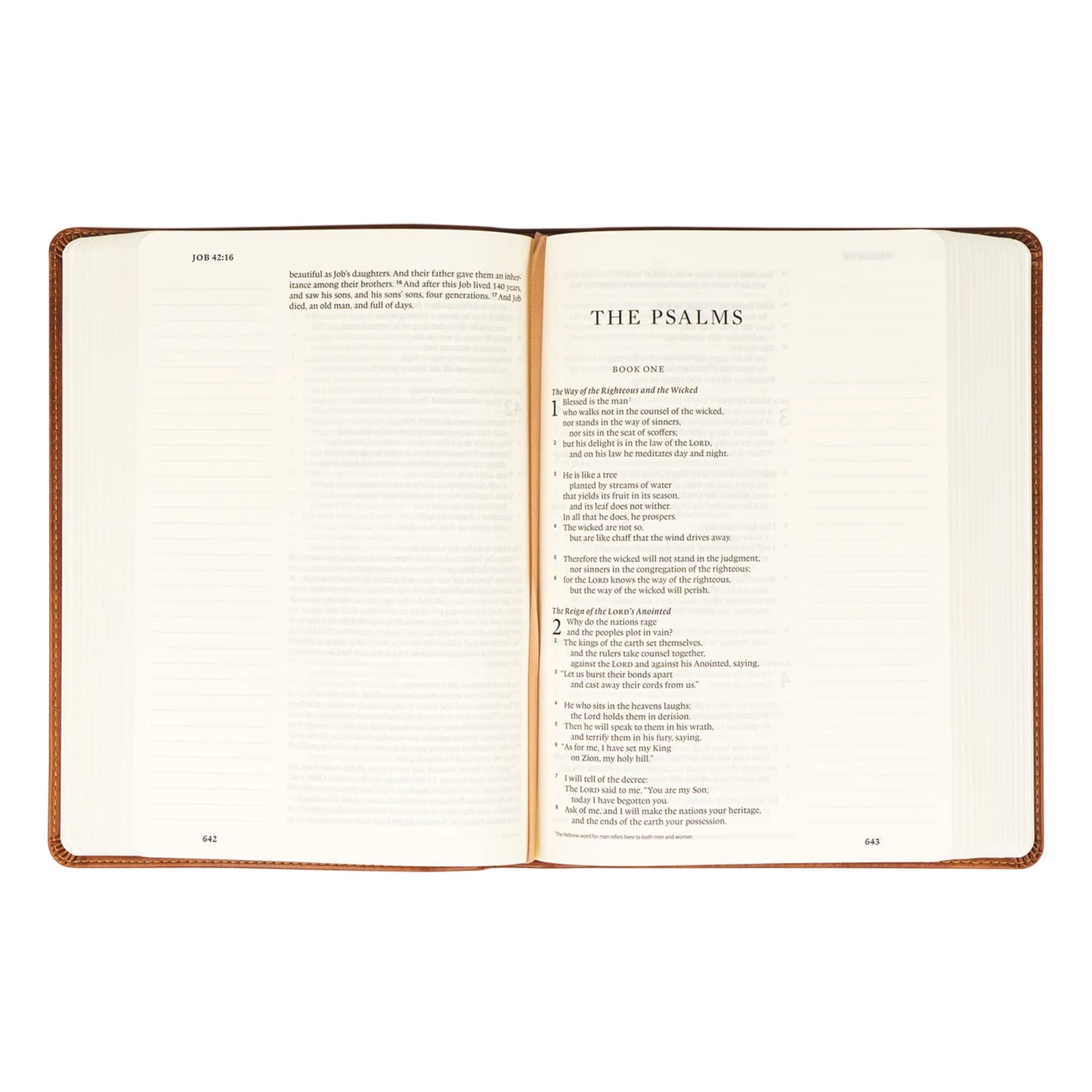 ESV Large Print Journaling Bible - Sierra Theme