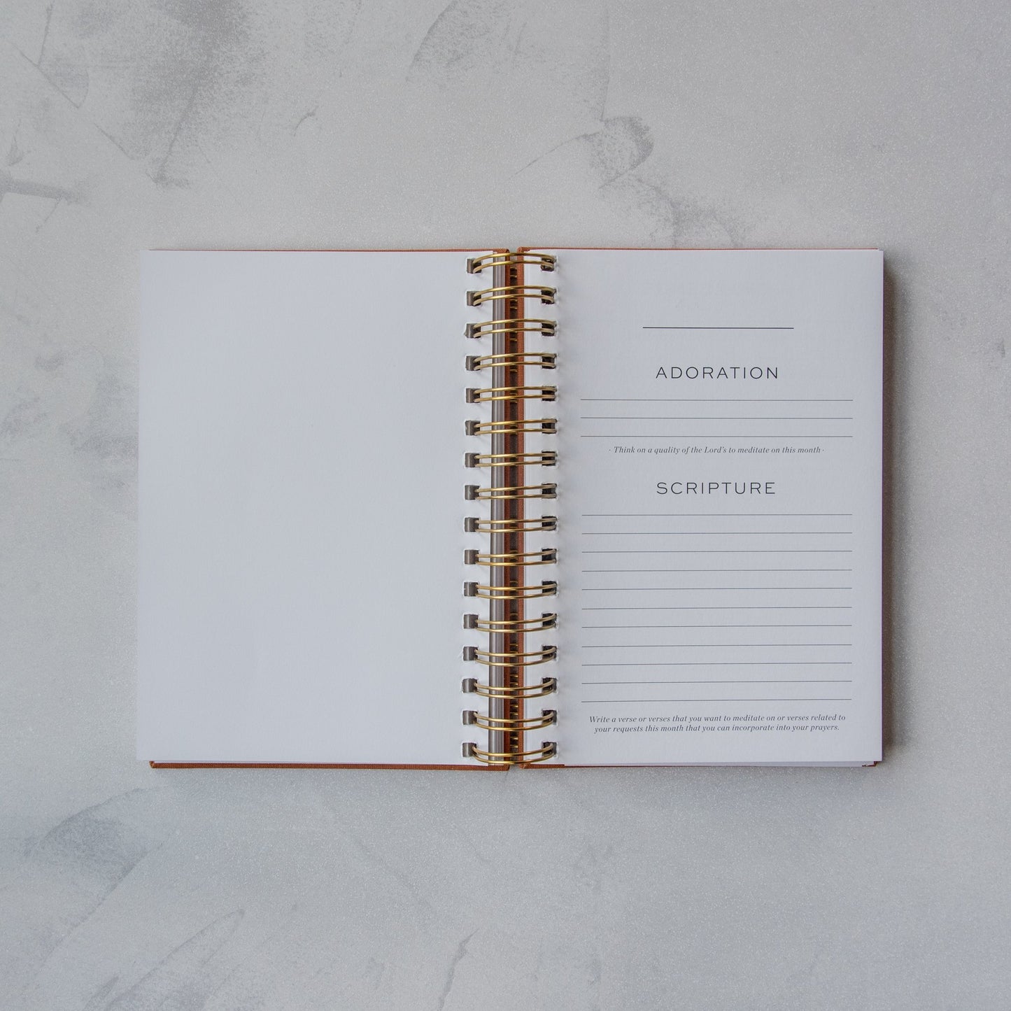 Signature Prayer Journal (6mth)