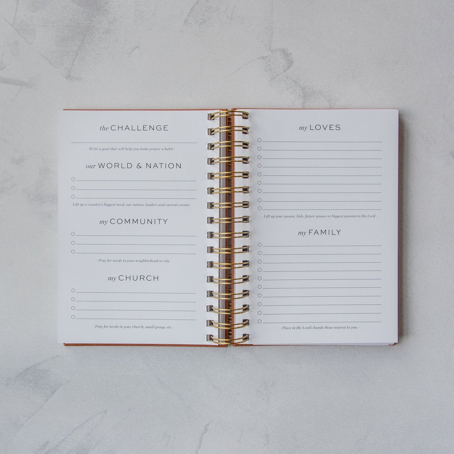 Signature Prayer Journal (6mth)