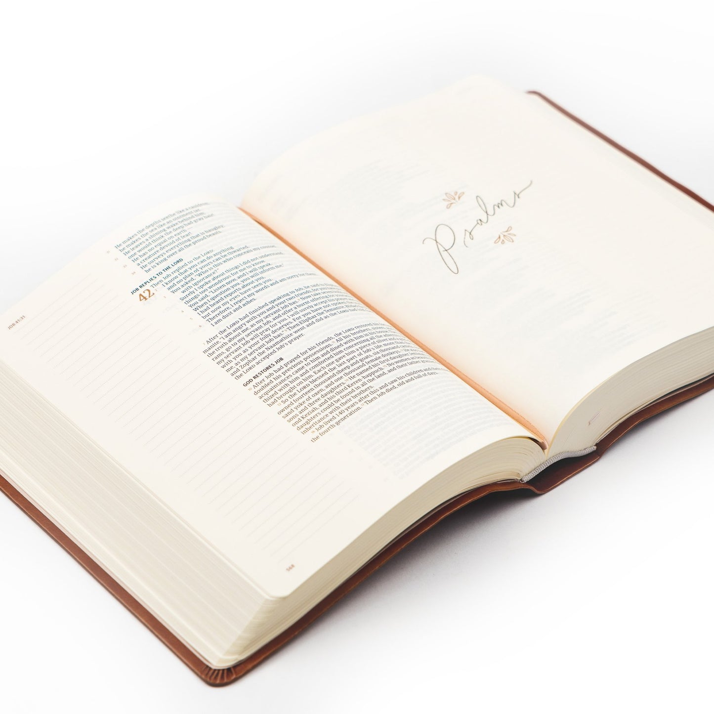 CSB Notetaking Bible - Vienna