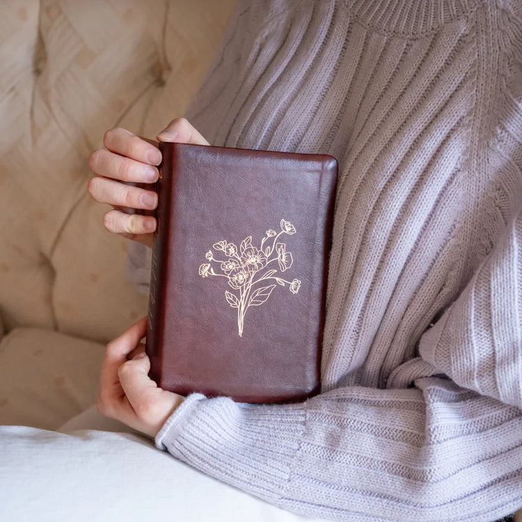 New Living Translation Bibles