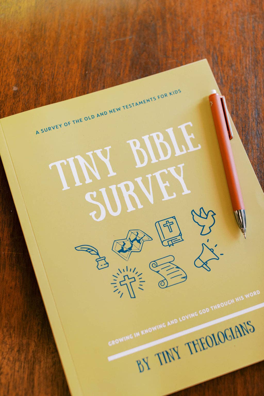 Tiny Bible Survey