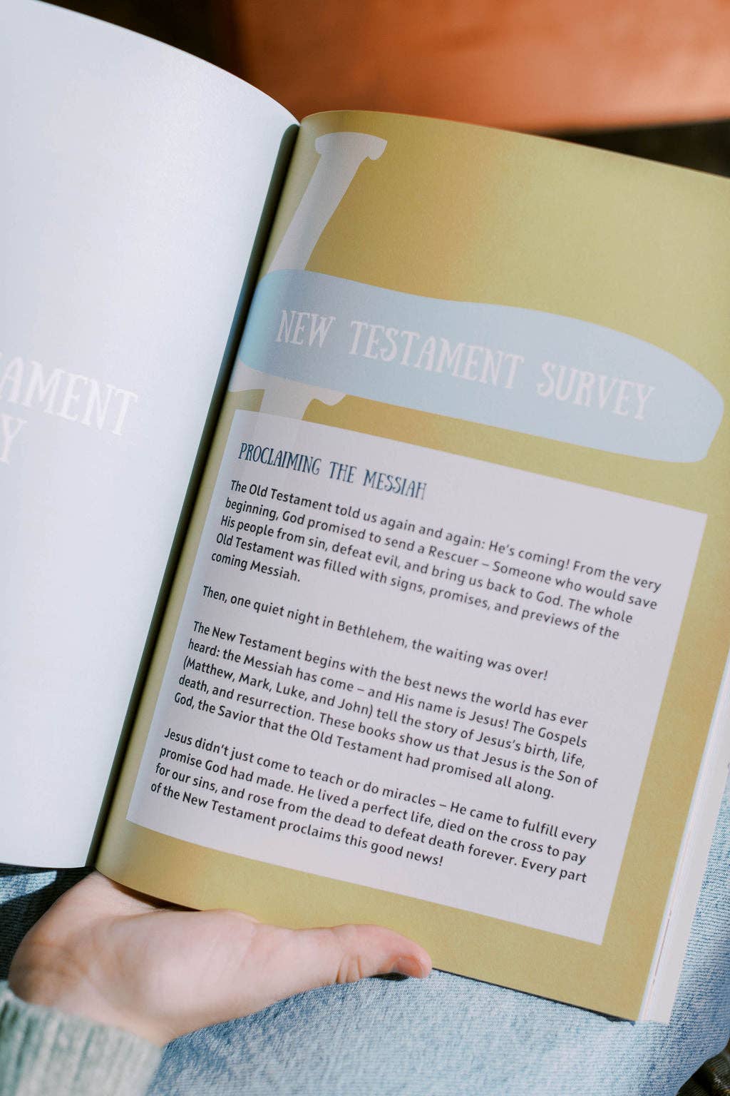 Tiny Bible Survey