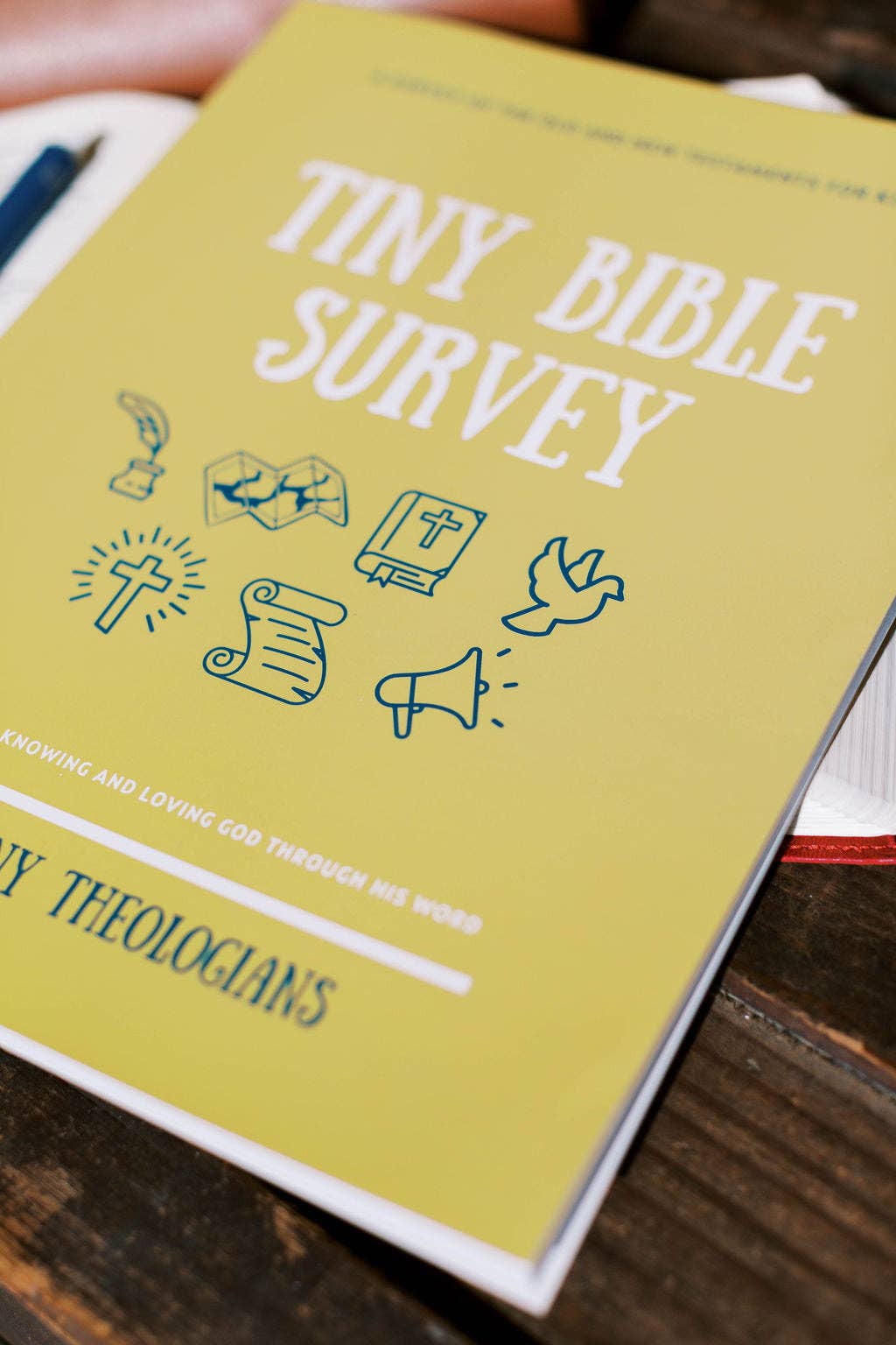 Tiny Bible Survey